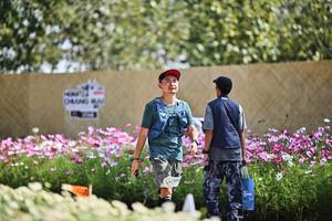 BIB: 
                            <button type="button" onclick="openModal(27795447)" class="btn btn-primary btn-sm float-right btn-popup" data-toggle="modal" data-target=".modal-high-quality">
                        <i class="fas fa-shopping-cart"></i> Add to Cart
                    </button>
                                            <button type="button" onclick="isThisMe(27795447, true)" class="btn btn-success btn-sm float-right btn-popup btn-isme hidden" data-toggle="tooltip" data-placement="bottom" title="นี่คือรูปของคุณใช่ไหม คลิกที่นี่เพื่อเอาเข้าอัลบั้ม">
                        <i class="fas fa-plus"></i> Add to album
                    </button>
                    <button type="button" onclick="isThisMe(27795447, false)" class="btn btn-warning btn-sm float-right btn-popup btn-isnotme hidden">
                        <i class="fas fa-ban"></i> Remove from album
                    </button>